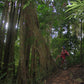 "BIKE 14" 2-Day "Highlanders Route" Doi Suthep National Park.   6500฿