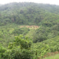 Old Smugglers Route Trip "3"   2100฿
