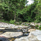 HIKE # T1 “6-HOUR DOI PUI SUMMIT HIKE IN DOI SUTHEP PUI NATIONAL PARK 1850฿