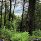 "BIKE 14" 2-Day "Highlanders Route" Doi Suthep National Park.   6500฿