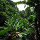 "BIKE 14" 2-Day "Highlanders Route" Doi Suthep National Park.   6500฿