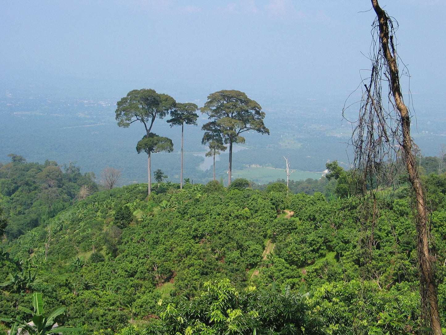 BIKE #13 2 DAY HIKE & BIKE SUTHEP NATIONAL PARK   5700฿