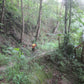 BIKE #2 “THE HIGHLANDERS ROUTE”  2100฿