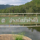 Rain forest Jungle single & Jeep track mountain biking Trip #8    2100฿